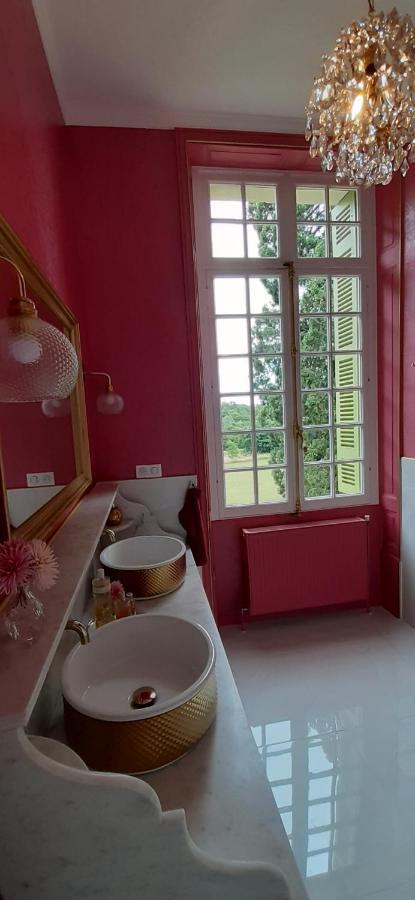 Le Chateau Du Breuil Mazières-de-Touraine Exteriér fotografie